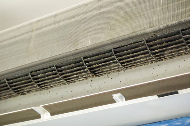 Best Residential Air Duct Cleaning  in Waterloo, IL